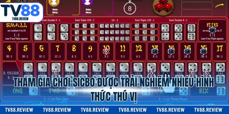 Tham gia chơi sicbo được trải nghiệm nhiều hình thức thú vị
