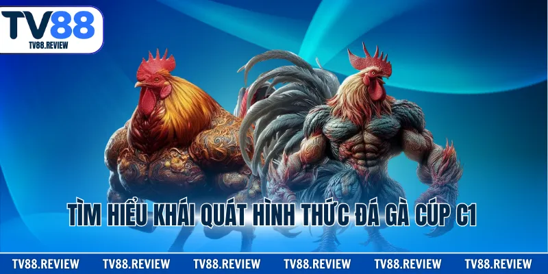 Tìm hiểu khái quát hình thức đá gà cúp c1